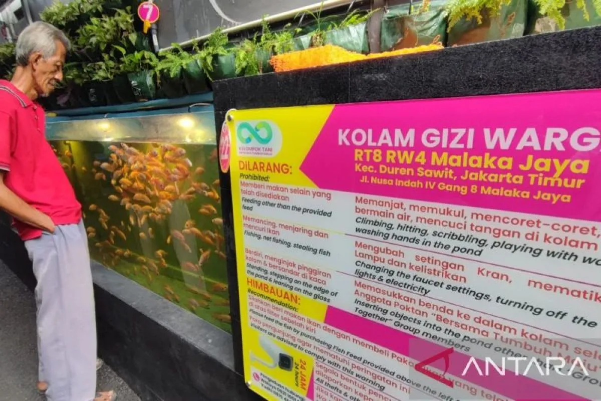 Warga Malaka Jaya buat kolam gizi sebagai wahana edukasi